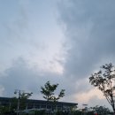 소풍이야기1동 민박 | 제주도 당일치기 같은 1박2일 여행_ PP들의 여행에 낭비란 없어. 낭만만 있을 뿐