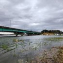 조암낚시터 이미지