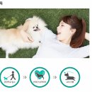 스터디독스쿨 이미지