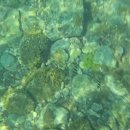 현포 해수풀장 공중화장실 | 울릉도스노쿨링장소 추천 학포항, 천부해중전망대, 선녀탕 등 장소 스팟 비교