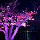 보문호반길 이미지