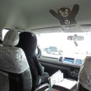 뉴스카이 이미지