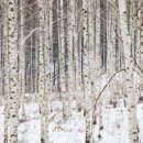 노을이 머무는곳 펜션 이미지