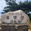 경기(가평)유명산 최단코스 이미지