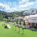 동반84 글램핑 | 경기도 애견펜션 1박 후기 동반84 글램핑 가격적당한 곳