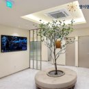 별이랑청담신경과의원 이미지