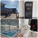 수영 | 부산 북항 마리나 수영장 평일 오후 일일 자유수영 후기