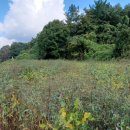 우경농원 이미지