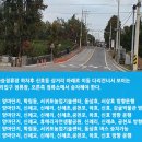 하례환승정류장 이미지