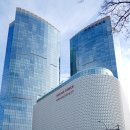 신형농장 | 제주도 렌트카 예약 추천 제주 렌트카 비교 카모아 완전자차