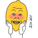 오드니치(ODD NICHE)