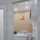 고양이 생활 호텔 이미지