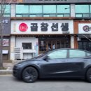 올리브영광주용봉지구점 | [광주/용봉동] 용봉지구 술집 코스 내돈내산 추천 / 곱창선생에서 1차, 노군꼬치에서 2차까지!