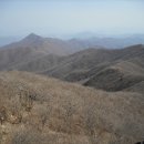 진틀1교 이미지