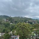 멍멍이 달린다 | 이제 엘라에서 뭐 할까?