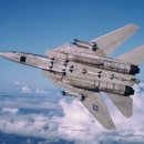 F14 이미지