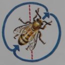 태양 양봉원 이미지