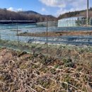 곡성-242 이미지