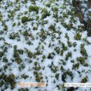 주정농장 이미지