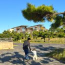 중앙로 24편의점 | 아기랑 제주도 휘닉스 아일랜드 1일차(베이커리카페, 전망대, CU편의점, 배달맛집)