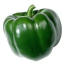피망 이미지