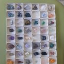 솔향수목원(암석원) 이미지