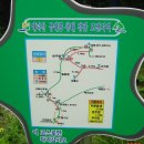 천상의 화원 대덕산 금대봉 그리고 한강발원지 검룡소 탐방기/2008.9 이미지