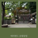 에버힐 | 무더운 여름 에버랜드 알차게즐기기 에버랜드 글램핑힐 후기