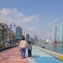 지천태 송천태권도장 이미지