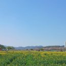세븐일레븐 외동점 이미지