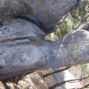 초정공원 이미지