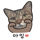 청담언니 - 포항시 북구 새천년대로933번길 7 | 청담언니