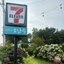 과수원의아침 | 제주여행 제주펜션 추천! 소남못펜션 202호 숙박 솔직후기