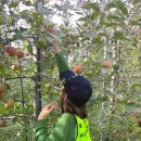 인평농장 이미지