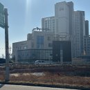 봉포대게찜 게 섯거라 이미지