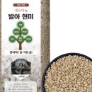 아이농