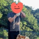 아키타 - 부평구 부평대로17번길 17 | 아키타