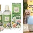 아람코퍼레이션주