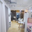 블라썸네일스킨