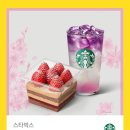 블라썸티 이미지