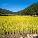 이목마을회관 이미지