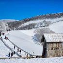 가오목장 이미지