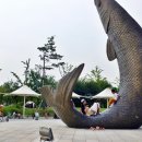 경인아라뱃길아라인천여객터미널 이미지