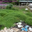 장흥목장 이미지