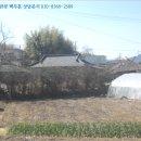 지수면-2 이미지