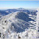 나중에 뱀사골에서 9.2KM 떨어진 화개재까지 2시간에 주파 천왕봉찍고 경남 산청군 시천면 중산리까지 24KM는 12시간 후기 기대하세요 이미지