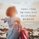 갈라디아서 5:13 – 5:26 성령의 열매를 추구하는 삶 / (성령님과 동행 )/이미지 이미지