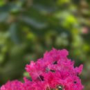 견불동산장 이미지