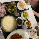 연세요양병원 | 자궁경부암 요양병원 입원후기 5/8~5/12