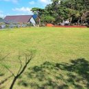 파인힐빌리지 캠핑장 이미지